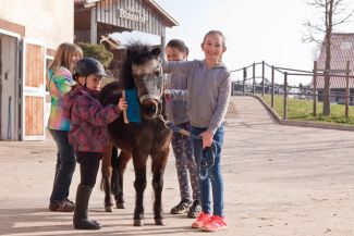 kinder ans pferd 03